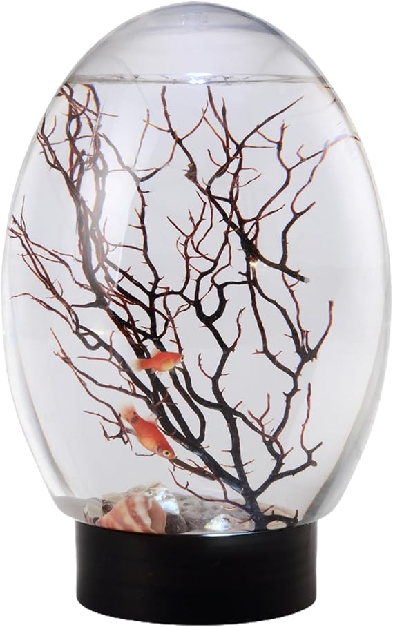 Mini Fish Tank Small Desktop Aquarium with Led Light Self Sustaining Ecosystem No Need to Feed Or Change Water Closed Aquatic Ecosystem for Home