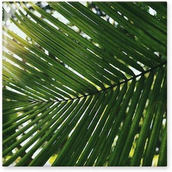 Sunshine Leaf Plant Picture Nature Ceramic Tile Glossy Decal Glazed Brick Adorn Stone