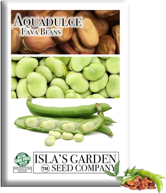 Aquadulce Fava Bean Seeds (Vicia faba) 25 Non-GMO Heirloom Seeds by Islas Garden Seeds, Cold-Hardy Broad Bean for Fall and Spring Planting, Ideal for Raised Beds & Backyard Gardens