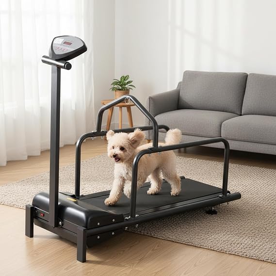 Small Dog Treadmill Home Fitness Equipment, Pet Running Machine With LCD Screen, 80KG Max Weight, Toys for Pet Exercise for Indoor Training, Adjustable Speed: 0.8-6km/h