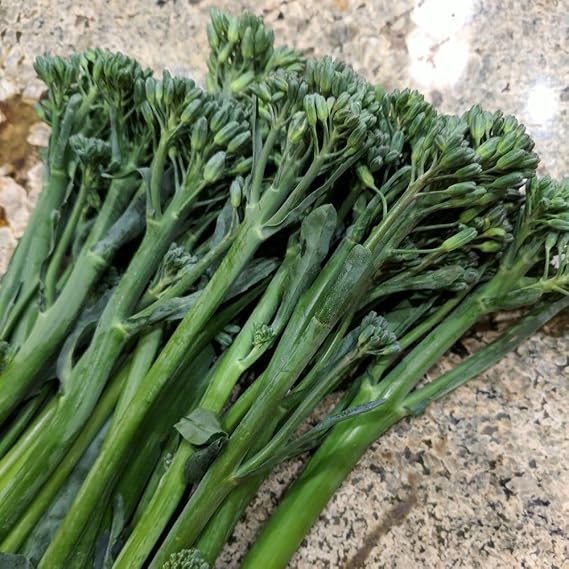 Broccoli 'Tenderette' F1 Seeds – Unique Broccoli & Chinese Kale Hybrid – Hardy Biennial – Sweet Tender Florets & Stems – 2-3 Harvests Over One Month –By Thompson and Morgan