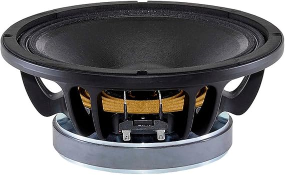 B & C Speakers 10FW64-8 10-inch Woofer Pro Audio Component Speaker Driver for Motorcycle Car with 8 Ohms Impedance & 259 Watts Rms 500 Watts Max
