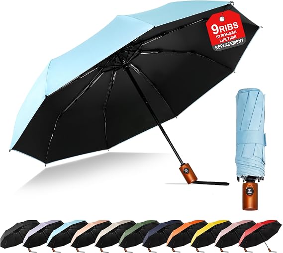 Windproof Travel Umbrella, Automatic Compact Folding Umbrella, Small Travel Size Umbrella for Rain, Backpack & Everyday Carry