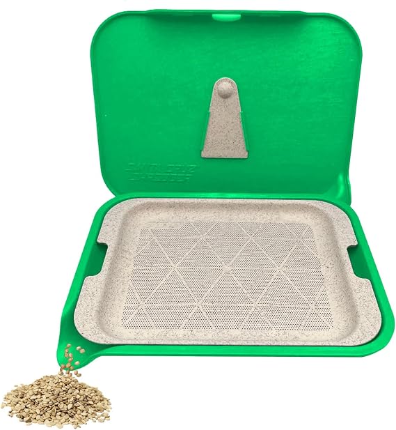 Santa Cruz Shredder Tray Kit With Spout For Easy Filling Smooth Rounded Edges - Small (Green)