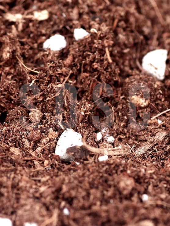 Substrat Mix Ithal Torf Cocopeat Perlit Özel Karışım Saksı Harcı Çiçek Ve Bitki Toprağı 3 LT