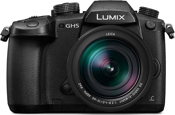 Panasonic LUMIX GH5 4K Mirrorless Camera with Lecia Vario-Elmarit 12-60mm F2.8-4.0 Lens (DC-GH5LK)