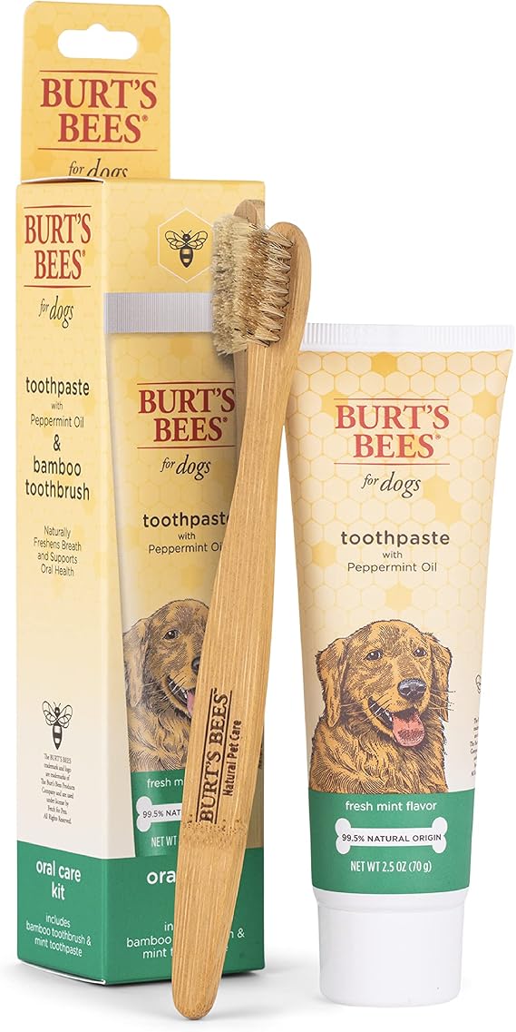Burt's Bees for Pets Naturally Derived Oral Care Kit Dog Dental Kit with Toothpaste & Bamboo Toothbrush Dog Toothbrush and Toothpaste with Honeysuckle & Peppermint Oil, Fresh Mint Flavor (2.5 oz)
