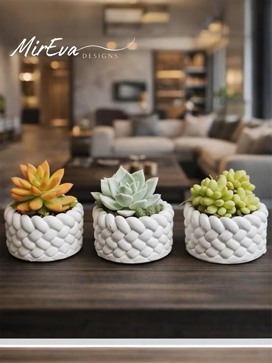 3’lü Mini Saksı Seti 5 cm – El Yapımı Dekoratif Beton Saksı | Küçük Sukulent Saksısı, Masa & Raf Dekoru, Modern Minimal Tasarım (Bitki Dahil Değildir)