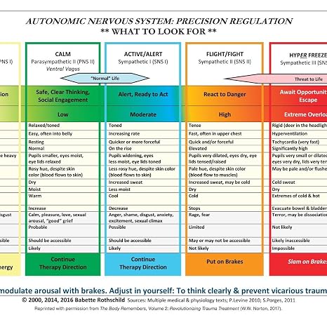 Autonomic Nervous System Table: Laminated Card