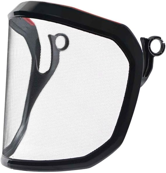Integral Visor F39 Black