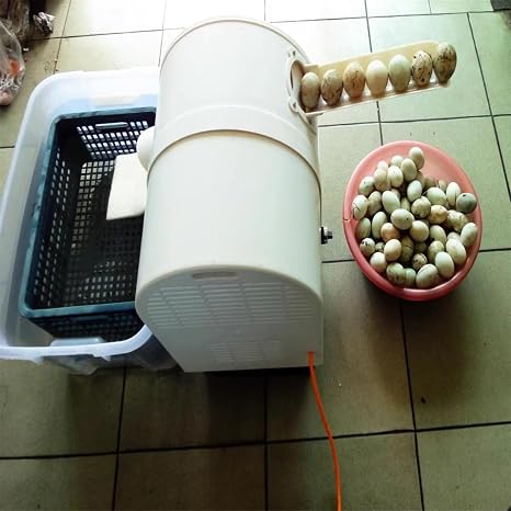 Egg Washer Machine120w Automatic Egg Cleaning Machine Commercial Chicken Duck Goose Egg Brushing Machine Egg Surface Cleaning Egg Wash Cleaning Machine Duck Egg Cleaning Machine ( Size : 220V )