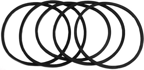 Fuji Spray 9050-5 Gaskets for 400cc Gravity Cup, 5-Pack