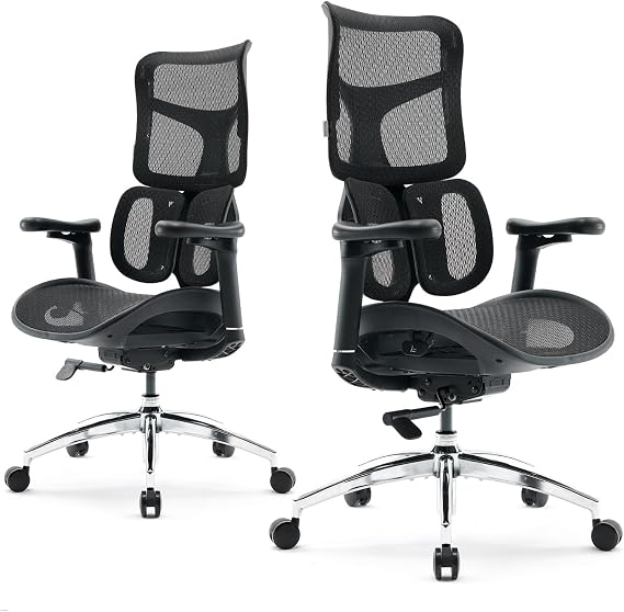 SIHOO Doro S100 Dual Dynamic Lumbar Support Office Chair