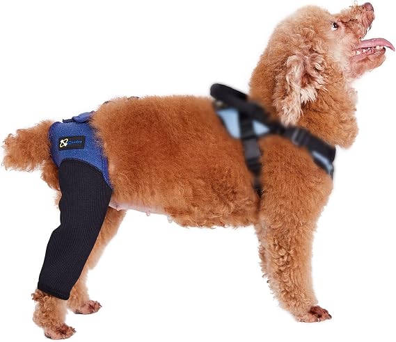 COODEO Dog Recovery Sleeve, Pet Wounds Prevent Licking, Bite, Keep Dry, Abrasion Resistant Dog Recovery Suit, Washable Neoprene 2.5mm Thick and Waterproof, Cone Collar Alternative (XXS)