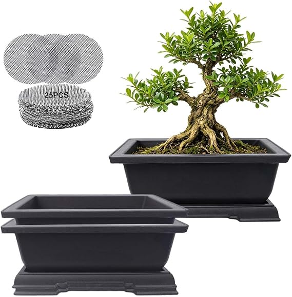 MUZHI 3PCS Retro Style Small Rectangular Garden Pots Bonsai Planters Pot with Tray Mocha Plastic Plant Pot with Pallet 6.5" (3PCS Rect 6")