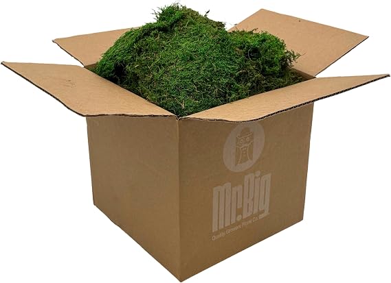 Sheet Moss Bulk, Preserved Moss, Green, Box
