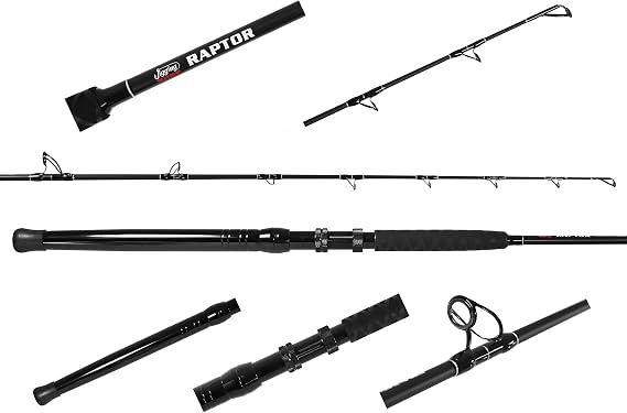 Jigging World Raptor Casting Rod