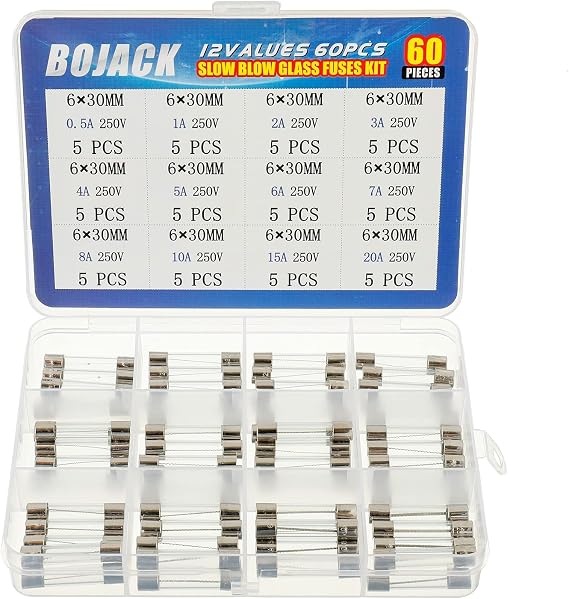 BOJACK 12 Values 60 Pcs Slow Blow Glass Fuses Assortment Kit 6x30 mm 250V T 0.5A 1A 2A 3A 4A 5A 6A 7A 8A 10A 15A 20A packag in a Clear Plastic Box