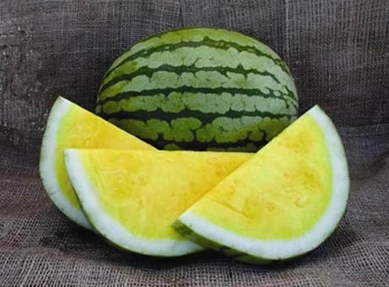 Yellow Watermelon Seeds Rare Hierloom Vegetable for Planting Giant Non GMO 15 Seeds