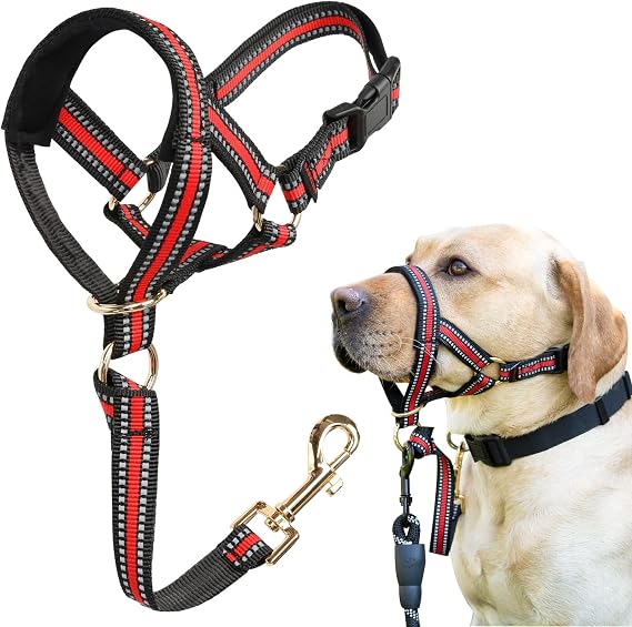 M Reflective Head Collar and M Adjustable Red No Pull Muzzle Leash Bundle for Medium Dogs, Effective Dog Training Tools to Prevent Pulling, Lunging, Jumping