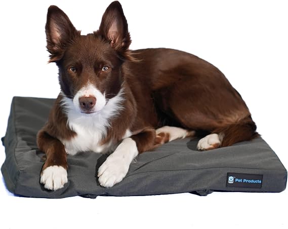 Blue-9 Restore Dog Bed, Durable Water Resistant Washable, 24" Square