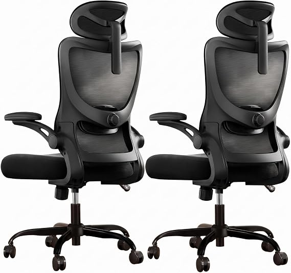 Marsail Ergonomic Office Chair with 3D Armrests, Pack of 2