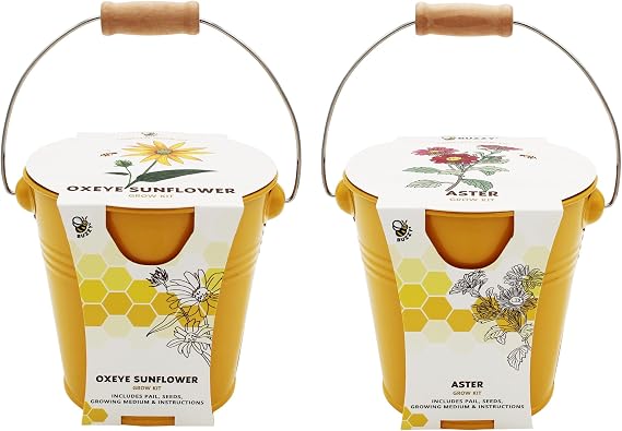 Buzzy Seeds Pollinator Grow Kit 2-Pack, Metal Pails, Aster & Sunflower