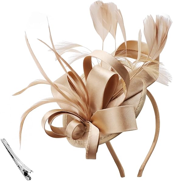 DRESHOW Fascinators Royal Banquet Ribbons Feathers Headwear Cocktail Tea Party Wedding Church Bridal Derby Hat for Women