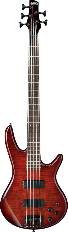 Ibanez GSR205SMCNB - Spalted Maple Top Charcoal Brown Burst