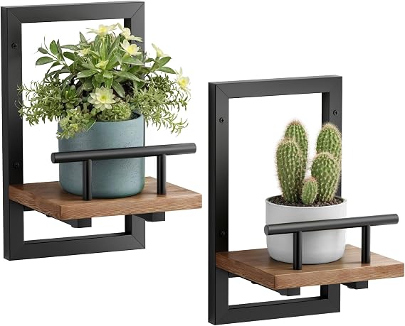 Sbosbo Floating Shelves for Wall, Plant Shelf Indoor, Wall Planters for Indoor Floating Plant Shelves for Bedroom, Living Room, Kitchen, Office, Bathroom Decor (2 Pack)