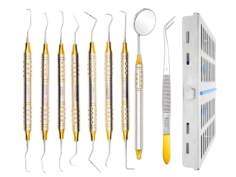ARTMAN INSTRUMENTS Dental Hygienist Tool Kit (10 PCs) Includes Mirror, Probe, Tweezer, Scalers, Pocket Probe, Curettes Prophylaxis Teeth Cleaning Set, Autoclavable, with Sterilization Cassette