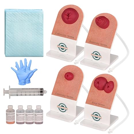 Ostomy Care Training Kit, Stoma Models for Medical Education
