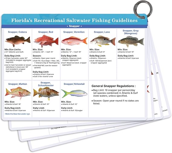 OCQOTAT Florida Saltwater Fish& Shark Identification Set4 Double-Sided Waterproof Quick-Reference Fishing Guide Cards with FWC Rules,Size Limits&80+ Fish&Sharks in Real Photos| Ring Binding,8.2x6inch