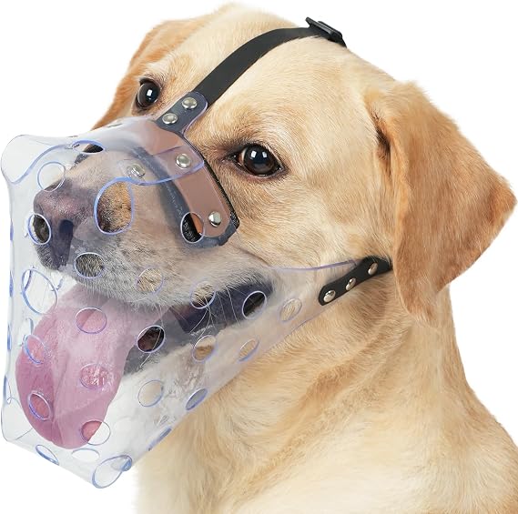 Mayerzon Clear Basket Dog Muzzle for Large Medium Dog Labrador