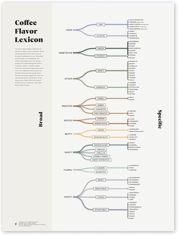 Goldleaf Coffee Flavor Lexicon Wall Art - Word List Print for Coffee Cupping - Coffee Chart Poster for Kitchen, Office or Coffee Shop - Educational Coffee Poster - Print Only (18x24, Coffee Flavor)
