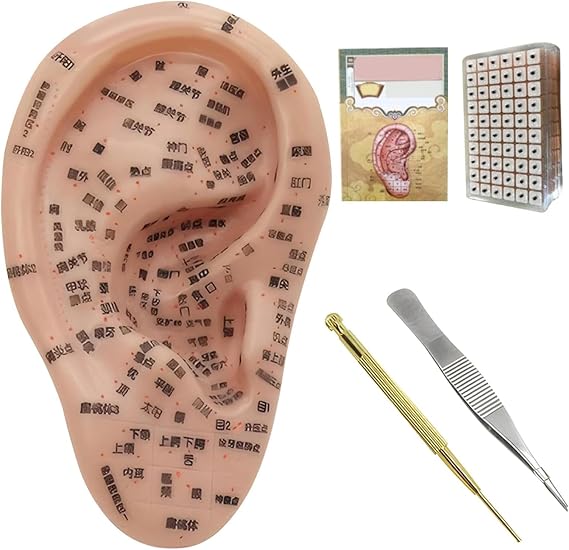 Ear Acupuncture Point Model, 17cm Professional Medical Acupuncture Ear with Acupuncture Points Ear Massage Model for Acupoint Learning Display Laboratory Supplies