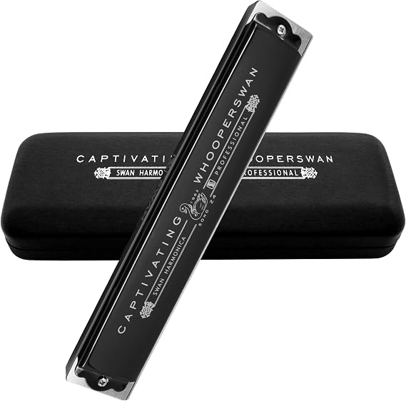 Harmonica 24 Holes Armonica Mouth Organ Polyphonic Harp Mouthorgan Professional Performance Harmonica Advanced Key of C Woodwind Music Instrument Gift