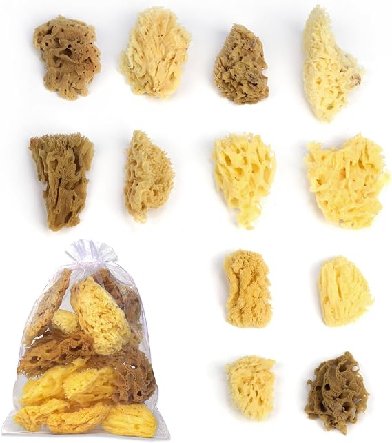 12Pack Natural Sea Sponges for Painting100% Natural & Kid-Friendly|Acrylic Watercolor, Marbling, Texturing, Pottery, Ceramics