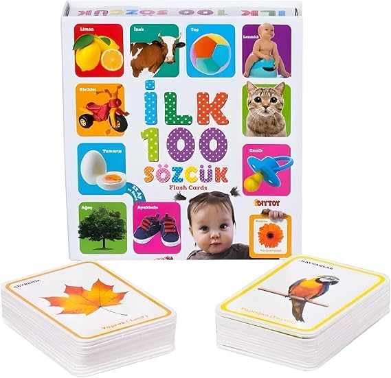 Educational Memory Cards Top 100 Words Word Intelligence Cards - Top 100 Illustrated Words for Babies