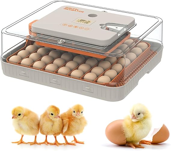 Egg Incubator with Automatic Egg Turner and Humidity Control for Hatching Chicken, Duck, Quail, Farm and School Use
