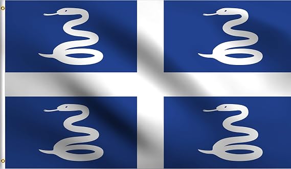 DMSE Snake French Region of Martinique Flag 3X5 Ft Foot 100% Polyester 100D Flag UV Resistant (3' X 5' Ft Foot)