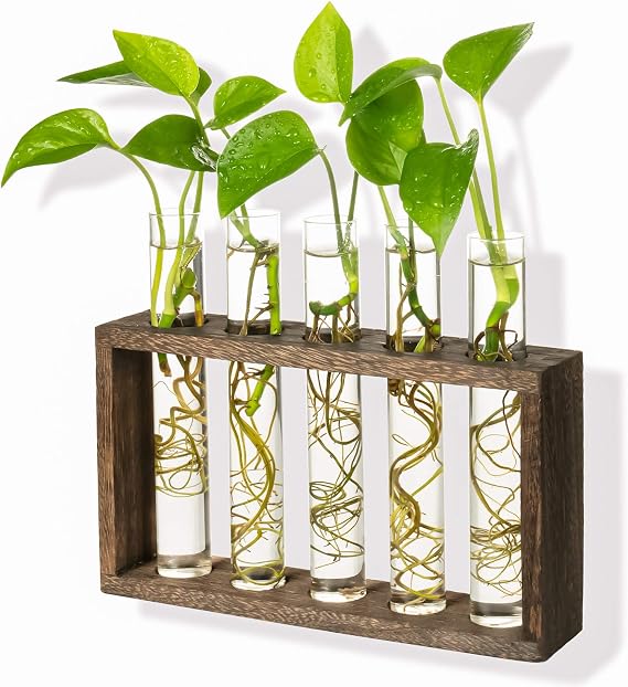 Kingbuy Wall Propagation Station with 5 Test Tube Vases - Vintage Wood Stand Wall Hanging Planter for Plants, Tabletop Terrarium Windowsill Decor Kitchen Herb Garden Accessory, Brown