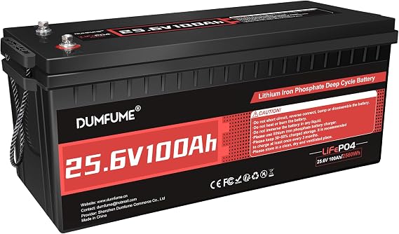 24V 100Ah LiFePO4 Battery Built-in 100A BMS