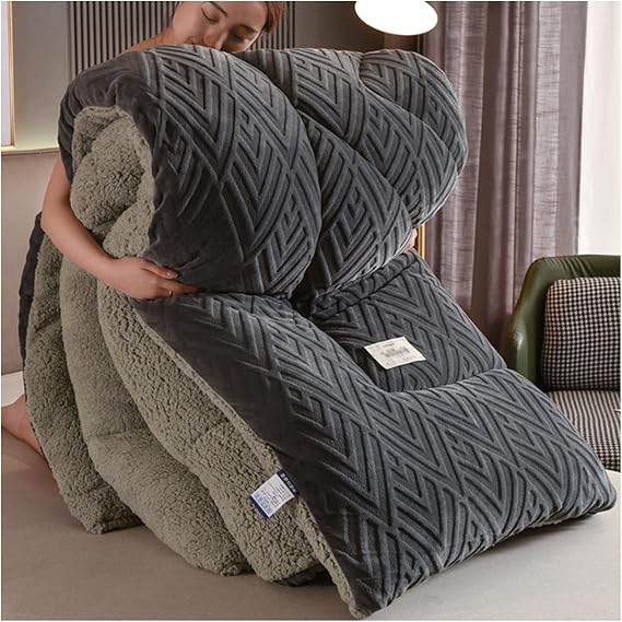ZTGL Super Warm Lamb Velvet Fabric Winter Quilt Thickened Warm Breathable Cashmere Comforter Core, Heavy Weighted Blankets, Double Sided Duvet Quilt for Cold Weather,A,200x230cm/4kg [Energy Class A]