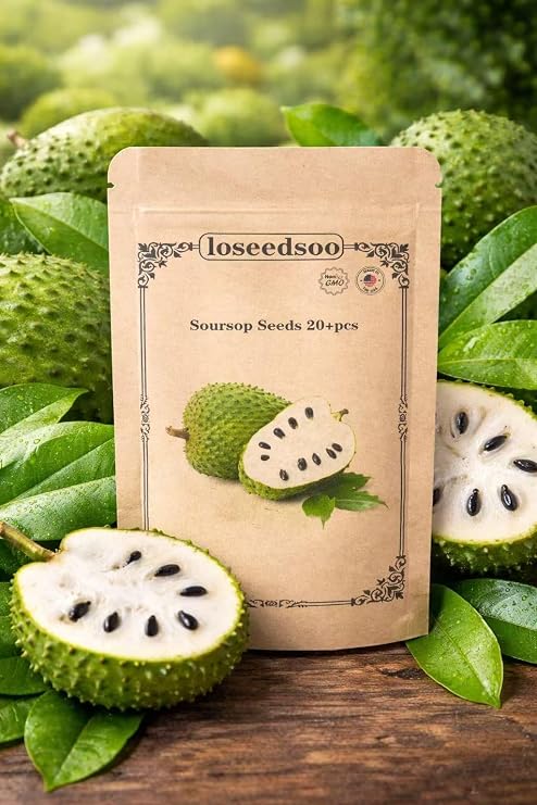 Soursop Seeds 20+ for Planting Non-GMO Graviola Guanabana Seeds for Indoor & Outdoor Growing, Tropical Fruit Tree Seeds, High Germination, loseedsoo