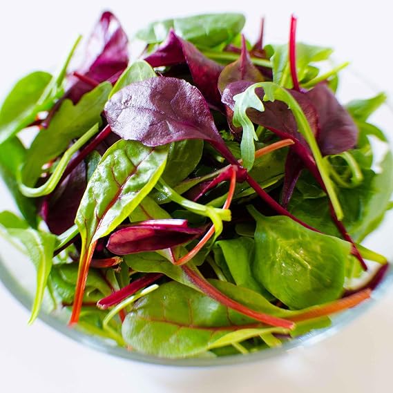 Eden Brothers Microgreen Seeds - Microgreen Rainbow Blend