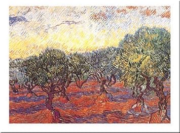Buyartforless L'uliveto by Vincent Van Gogh 20x28 Art Print Poster