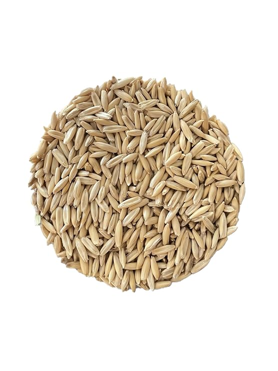 AA Plus Shop Premium Triple Cleaned Whole Oats, Horse Feed, Garden Grass Growing and Mushroom Growing, 10lb bag