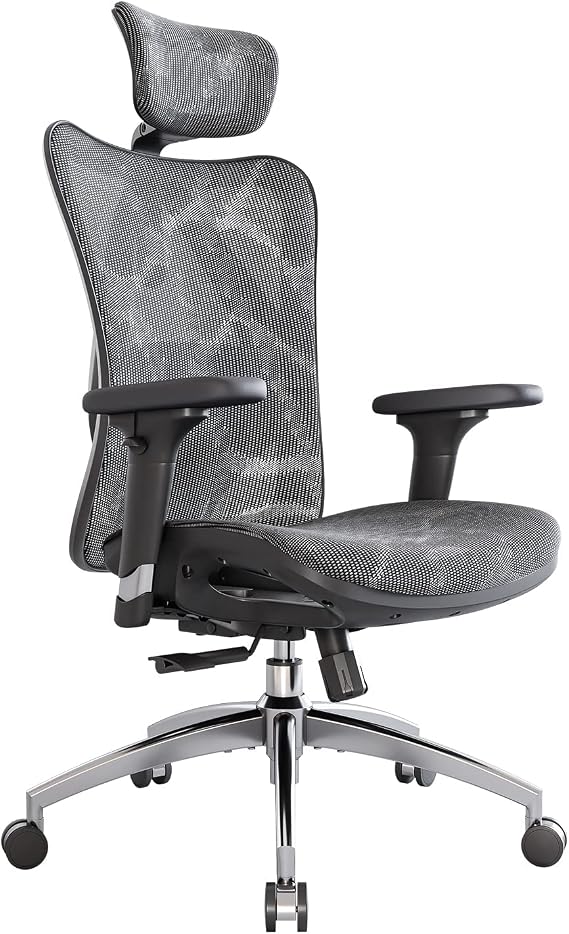 SIHOO M57 Ergonomic Office Chair, Mesh Back Desk Chair with 3D Armrests | Lumbar Support & Adjustable Headrest, Comfortable Computer Chair, Office Chair Hold 330 LBS, Home Office - Grey