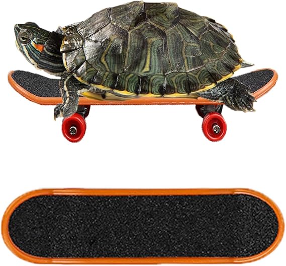 Turtle Toys Mnini Skateboard Turtle Fast Skate Accessory Funny Pet Turtles Playing & Training Toy Finger Walking Skateboards Parrot Reptile Skateboard Toys(Random Colors) (6PC)